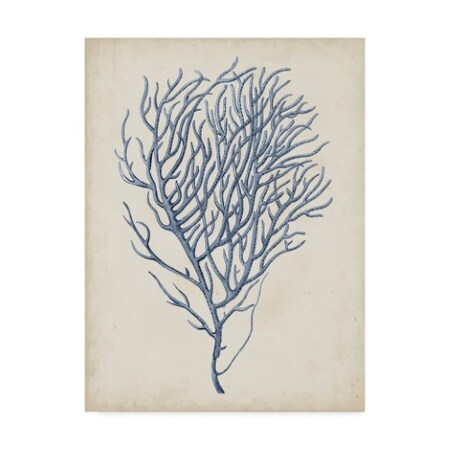 Trademark Fine Art Vision Studio 'Indigo Coral Vi' Canvas Art, 35x47 WAG07893-C3547GG